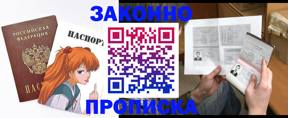прописка законно в Бийске